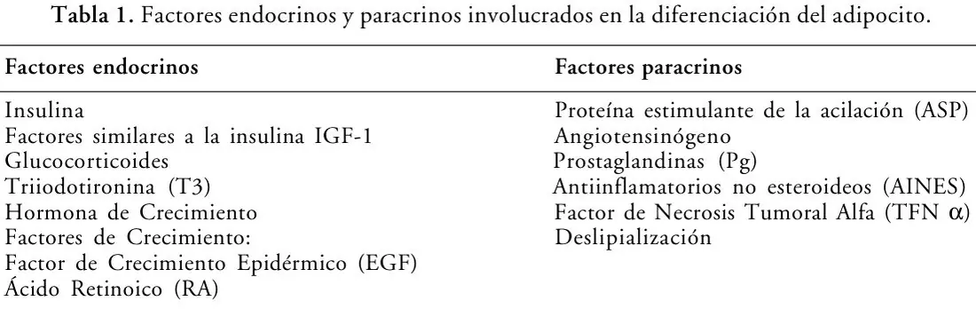 Tabla 1 del artículo