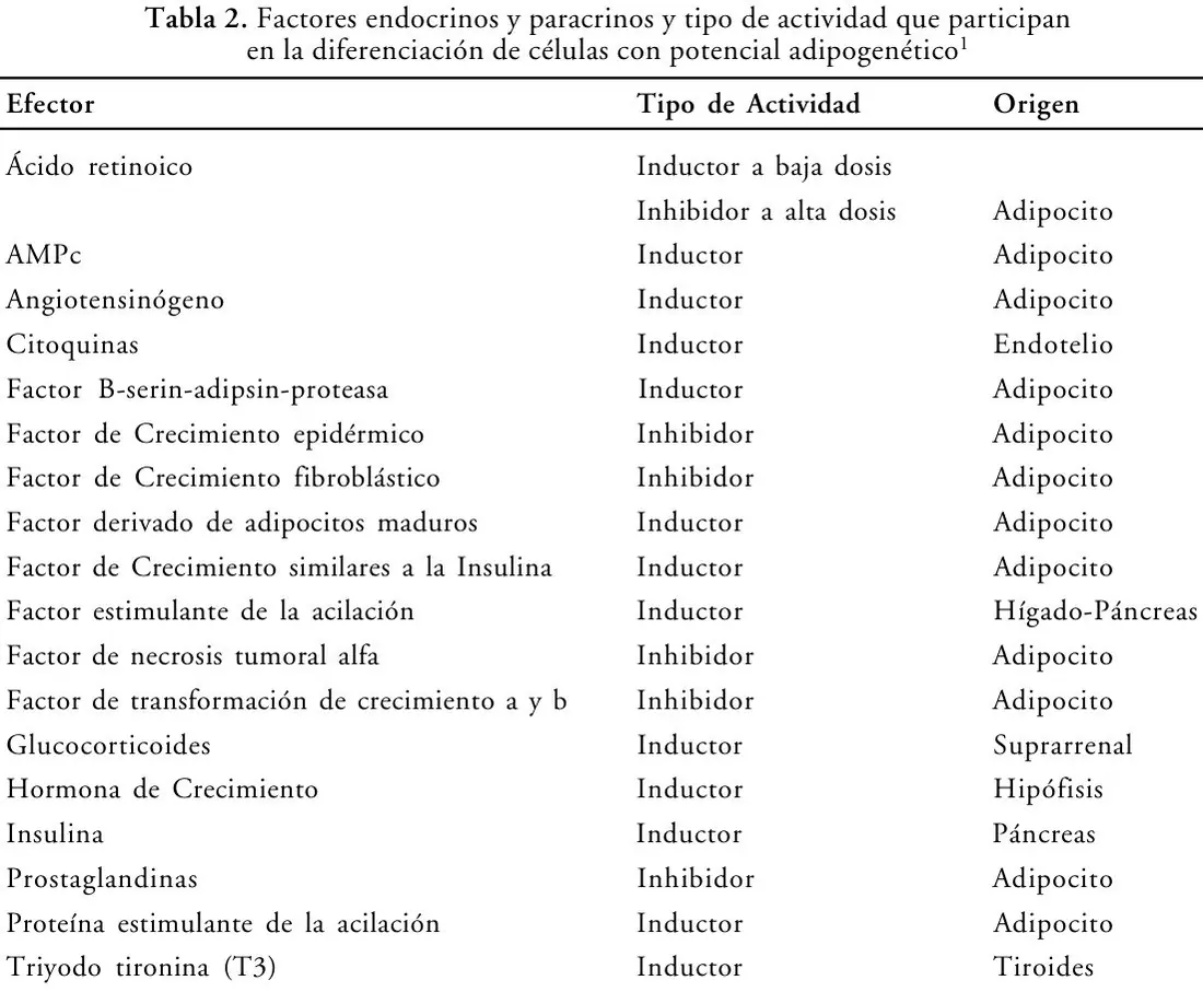 Tabla 2 del artículo