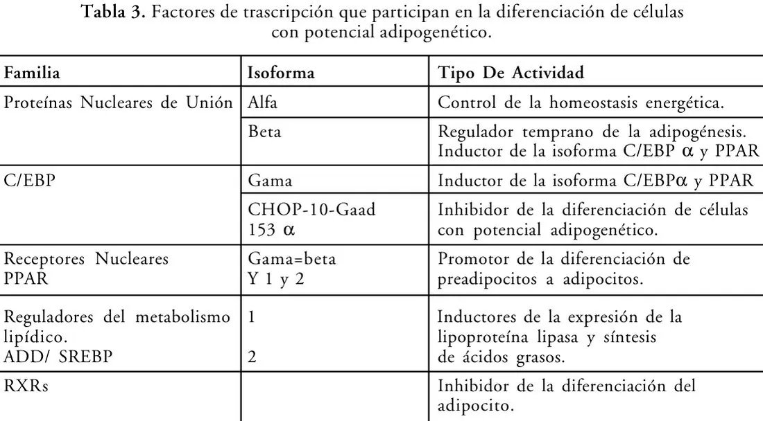 Tabla 3 del artículo