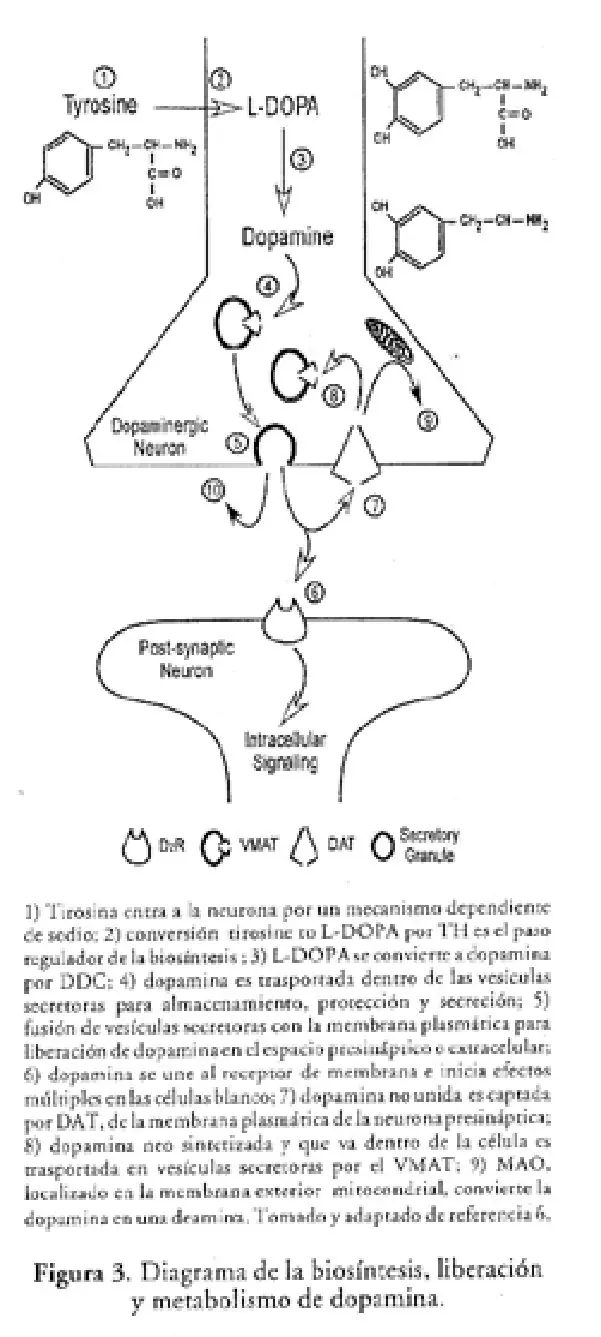 Imagen del artículo