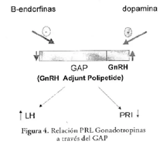 Imagen del artículo