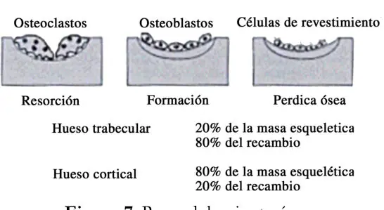 Figura 7 del artículo