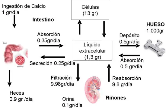 Figura 9 del artículo