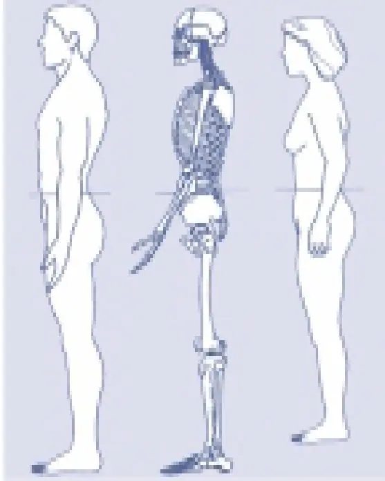 Imagen del artículo
