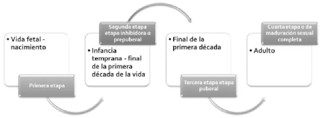 Imagen del artículo