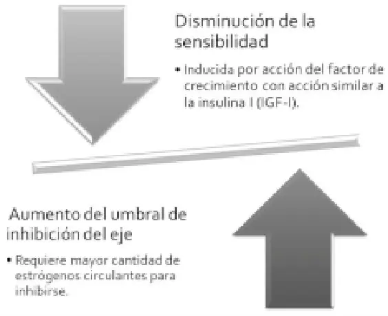 Imagen del artículo