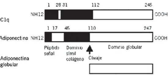 Figura 2 del artículo