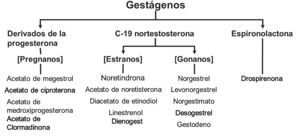 Figura 2 del artículo