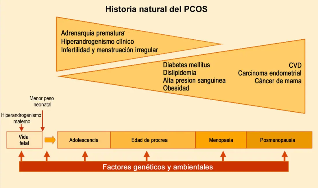 Figura 4 del artículo