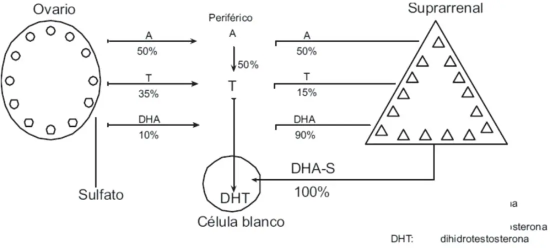 Figura 2 del artículo