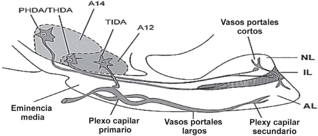Figura 2 del artículo