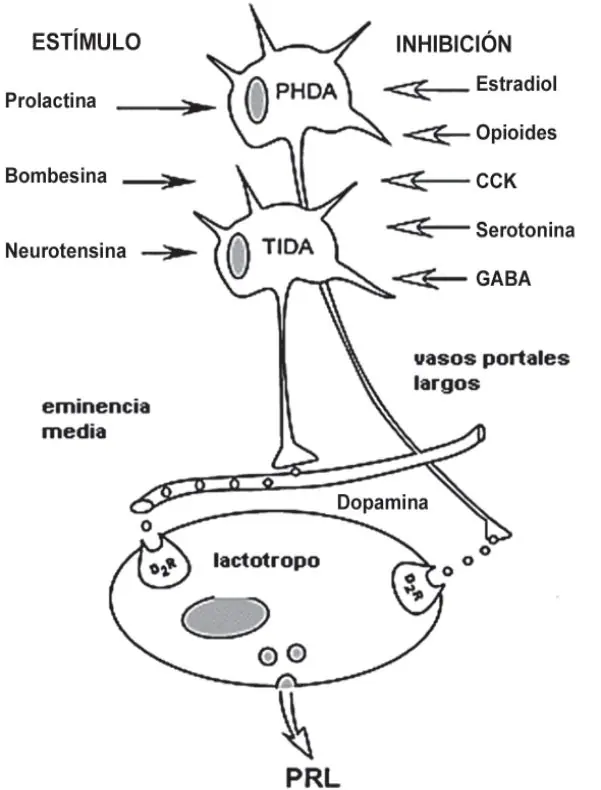 Figura 3 del artículo