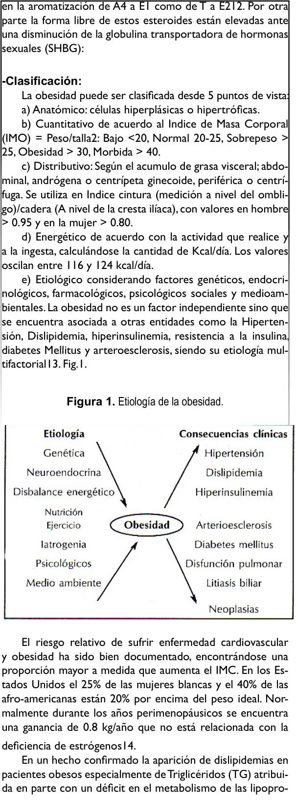 Imagen del artículo