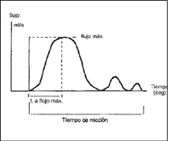 Figura 10 del artículo