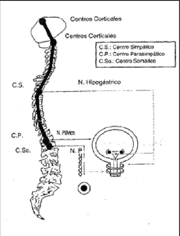 Imagen del artículo
