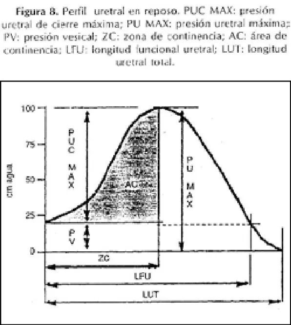Figura 9 del artículo