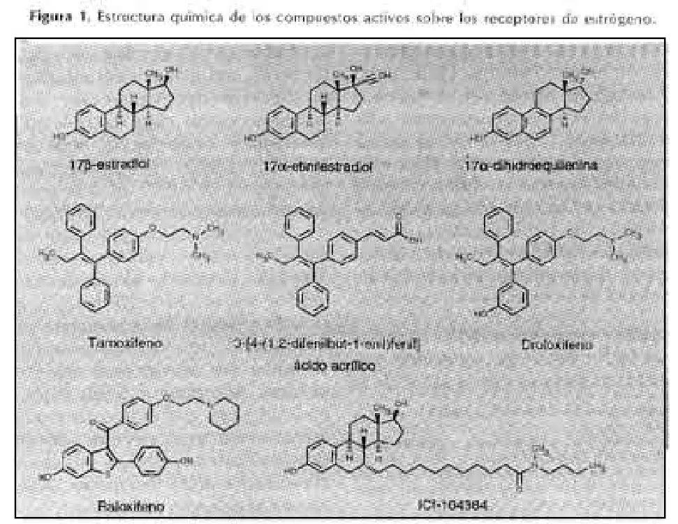 Imagen del artículo