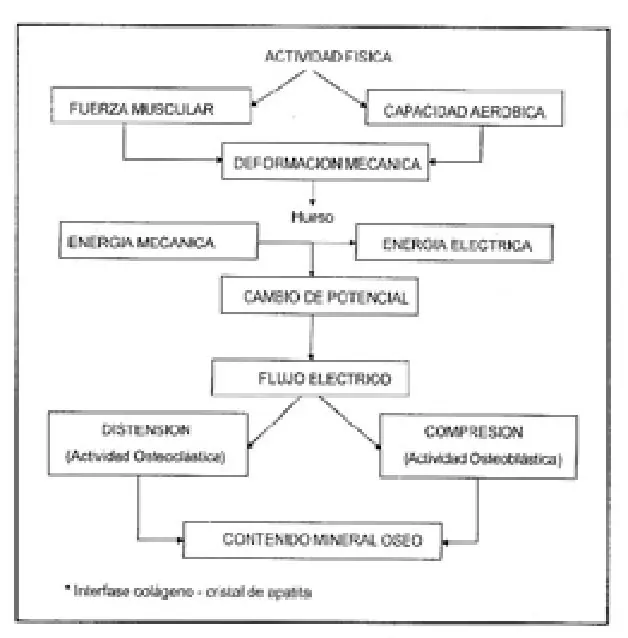 Tabla 4 del artículo
