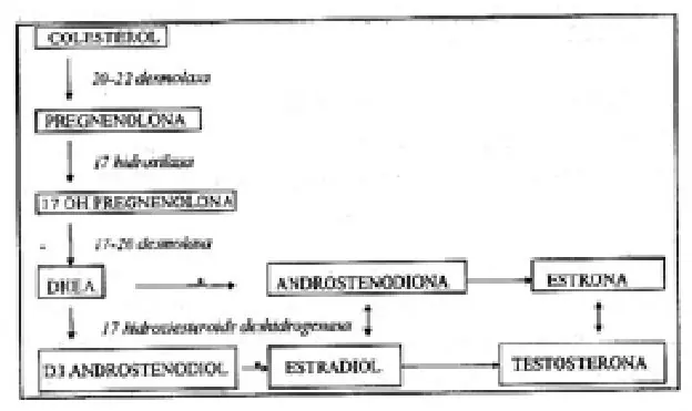 Imagen del artículo