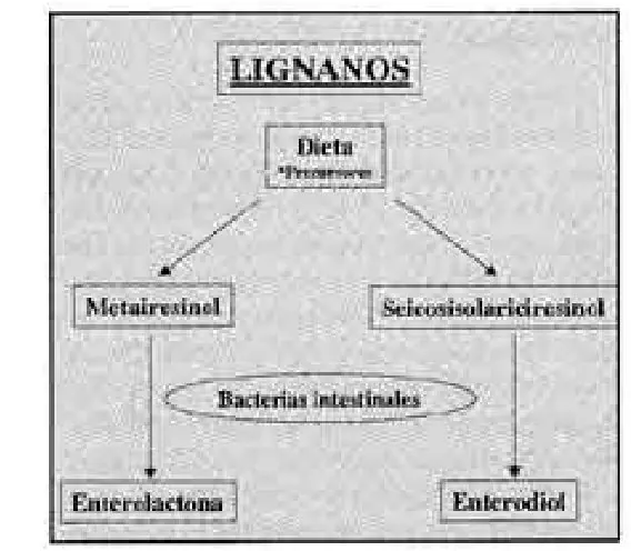 Figura 2 del artículo