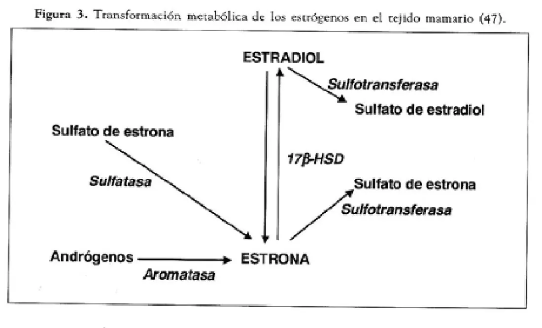 Imagen del artículo