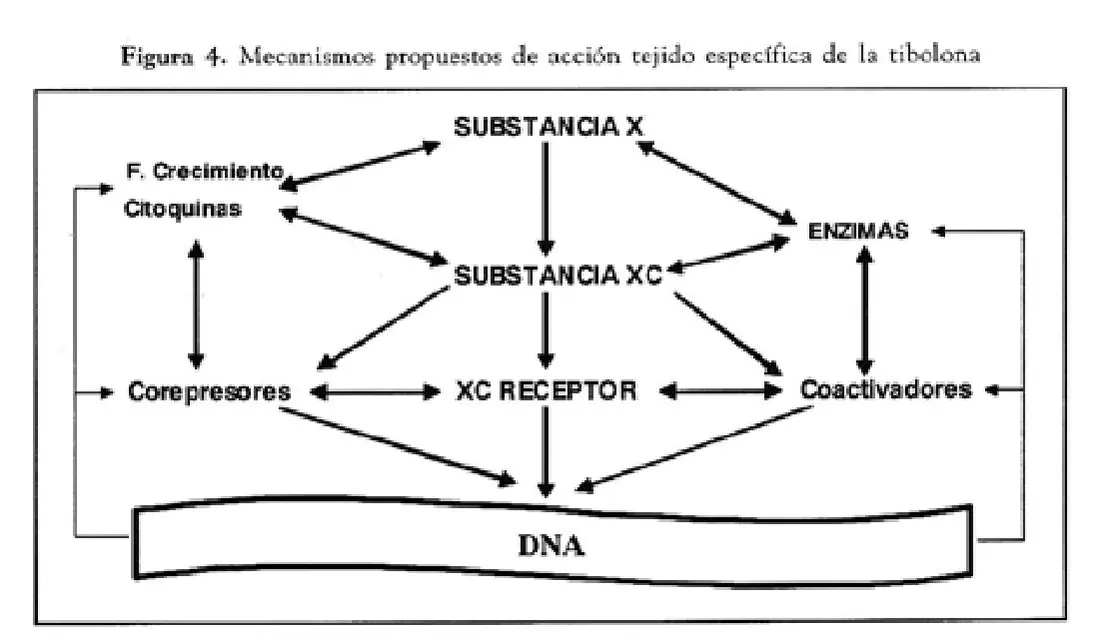 Imagen del artículo