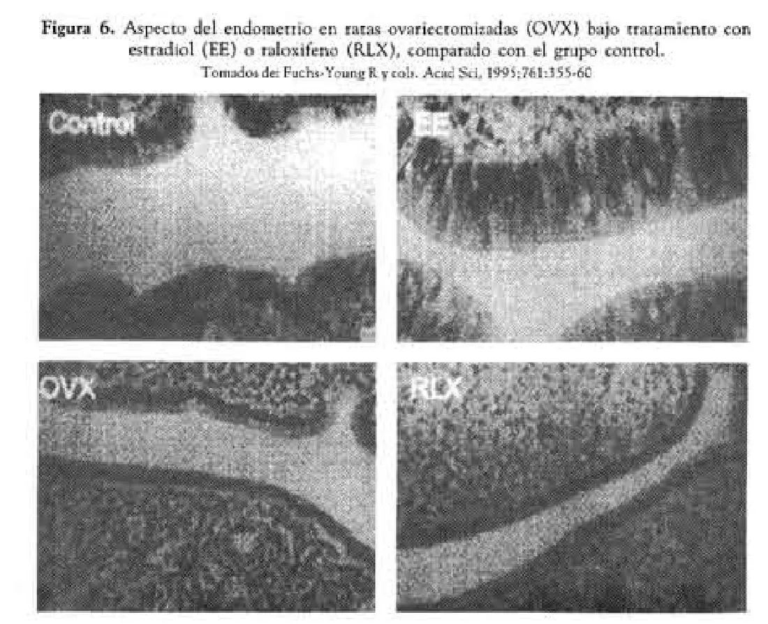 Imagen del artículo