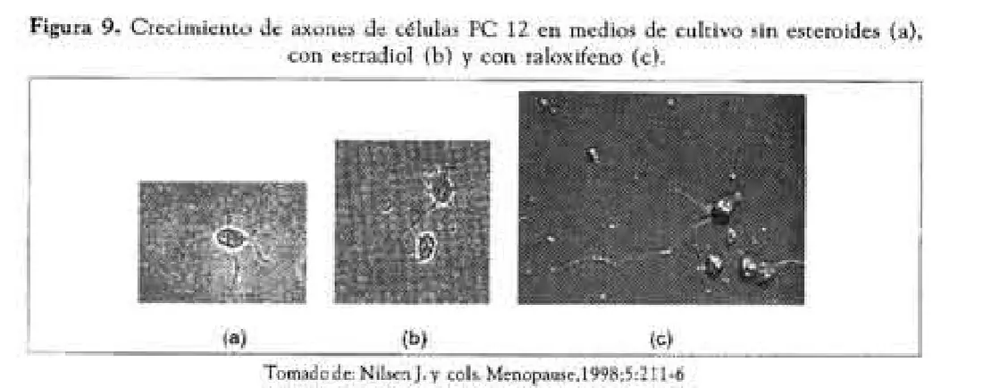 Imagen del artículo