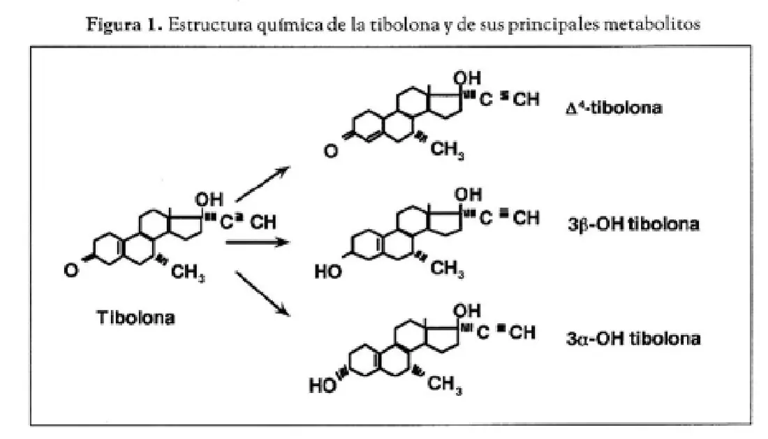 Tabla 1 del artículo