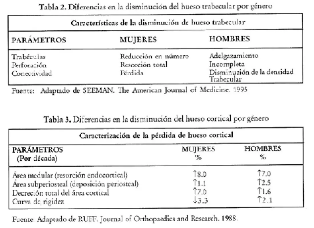 Imagen del artículo