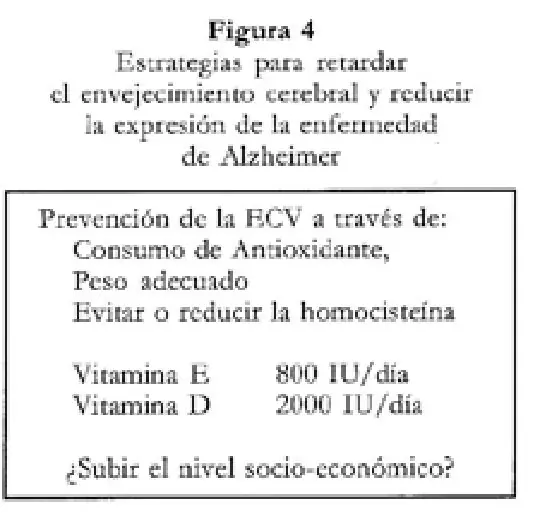 Imagen del artículo