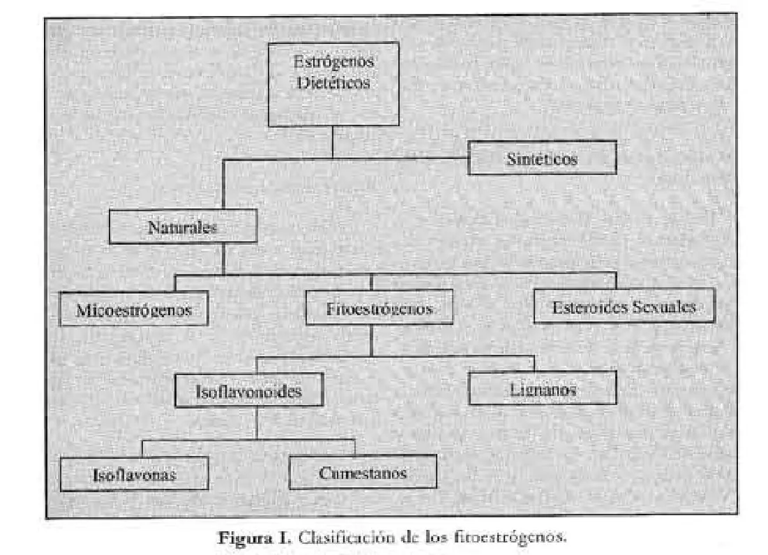 Imagen del artículo