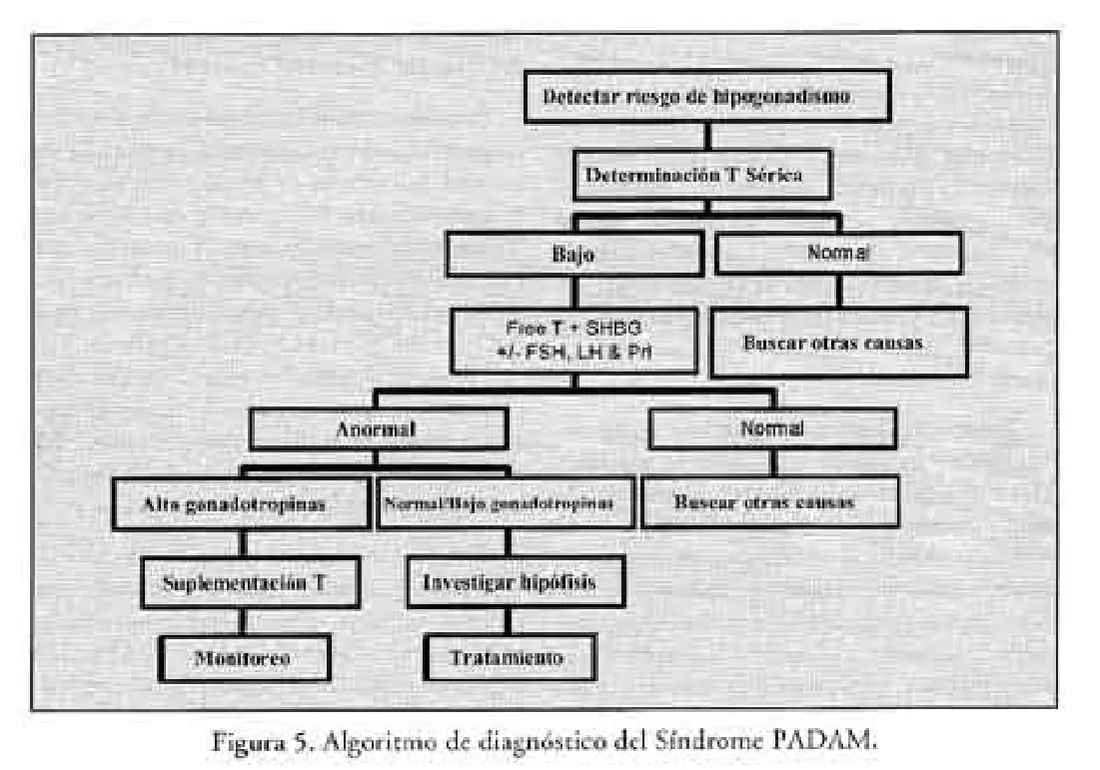 Imagen del artículo